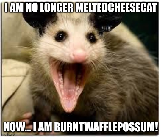 We Hail The Wafflepossum Imgflip