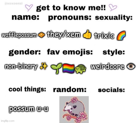 updated | they/xem 👍; trixic 🌈; wafflepossum 🧇; weirdcore 👁; non-binary ✨; 🌱🏳‍🌈🐢; possum u-u | image tagged in get to know me | made w/ Imgflip meme maker