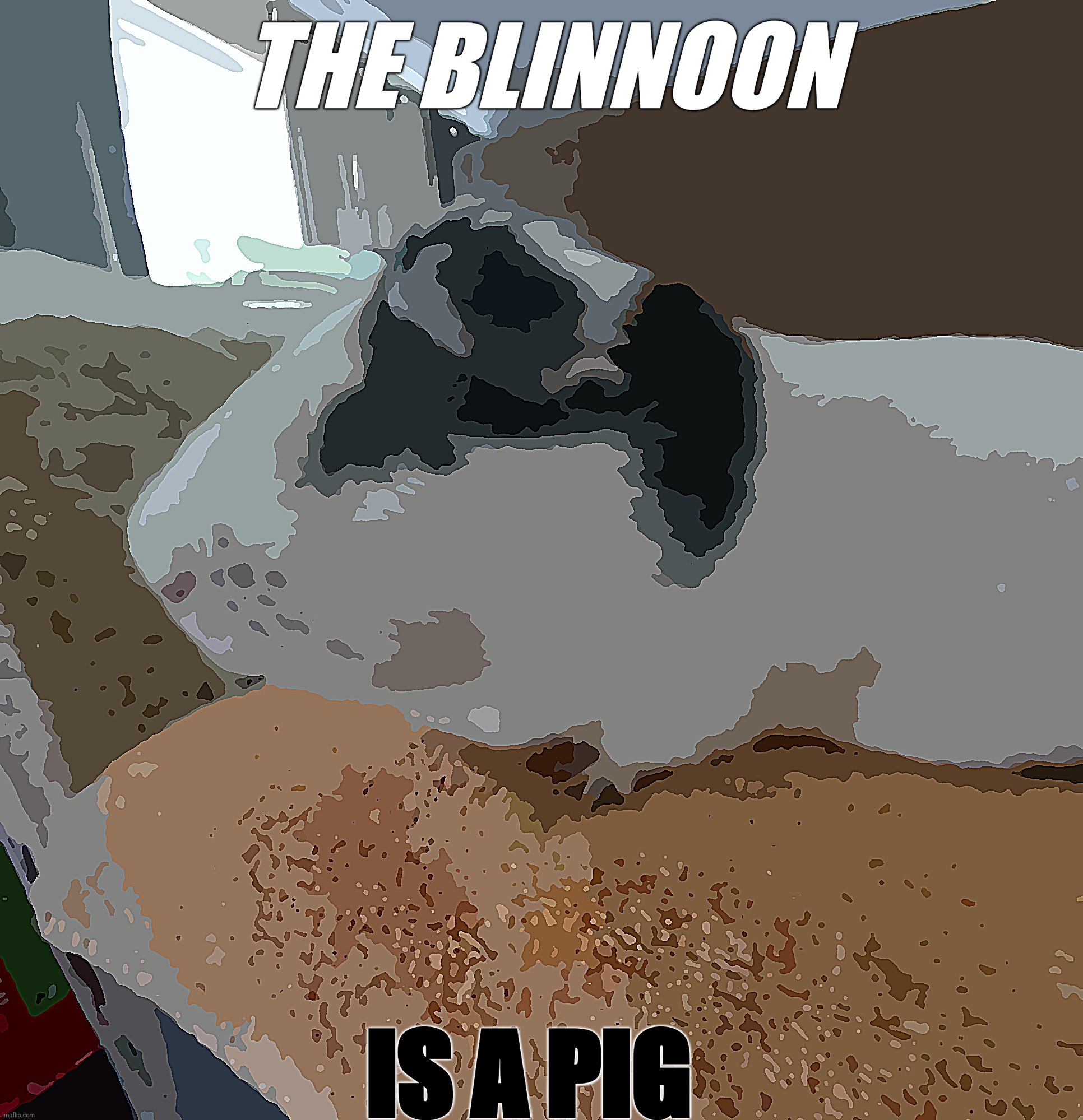 The blinnoon pig | THE BLINNOON; IS A PIG | image tagged in blinnoon | made w/ Imgflip meme maker