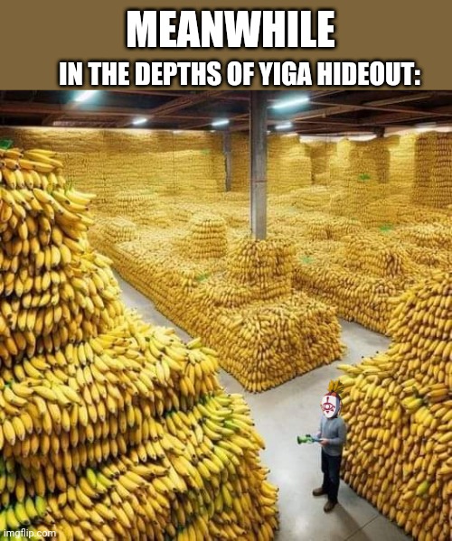 THE BASEMENT OF THE YIGA | MEANWHILE; IN THE DEPTHS OF YIGA HIDEOUT: | image tagged in the legend of zelda,the legend of zelda breath of the wild,tears of the kingdom,bananas | made w/ Imgflip meme maker