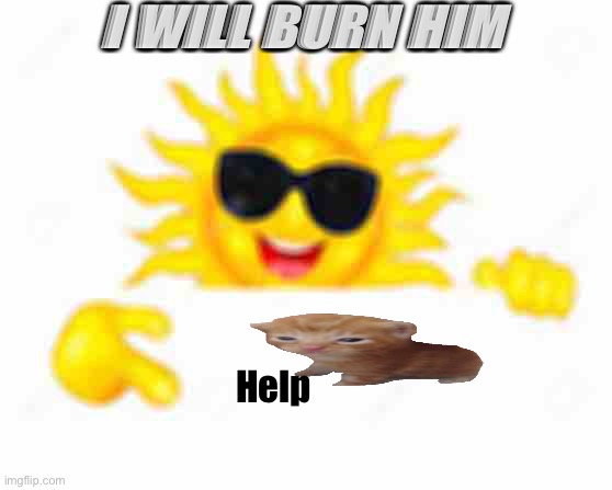 Will he burn to death? | I WILL BURN HIM; Help | image tagged in cool sun pointing,sad cat,the sun,sunglasses | made w/ Imgflip meme maker