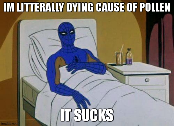 winter finish , no more sneeze , spring comin , pollen kill | IM LITTERALLY DYING CAUSE OF POLLEN; IT SUCKS | image tagged in memes,spiderman hospital,spiderman,pollen | made w/ Imgflip meme maker