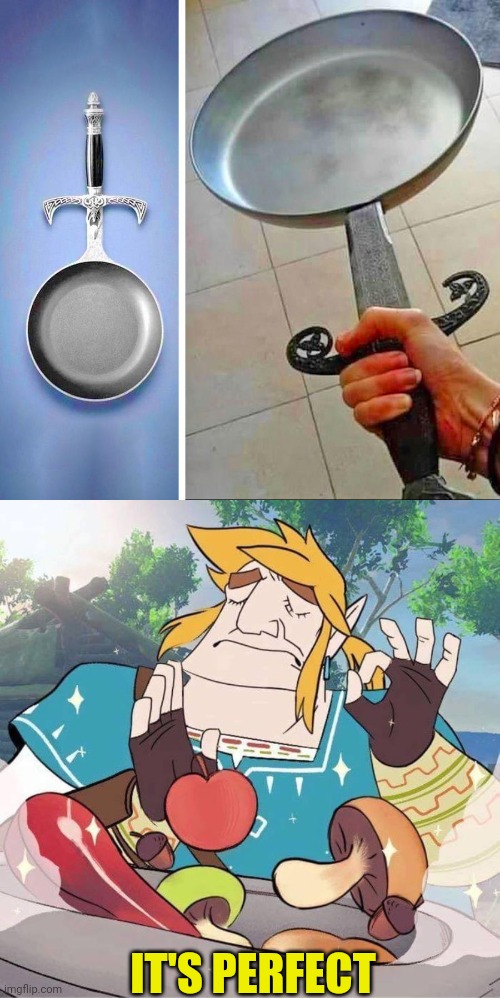 THE PERFECT WEAPON FOR LINK | IT'S PERFECT | image tagged in the legend of zelda,the legend of zelda breath of the wild,nintendo,link | made w/ Imgflip meme maker
