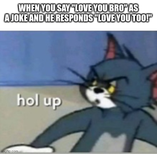 hol up | WHEN YOU SAY "LOVE YOU BRO" AS A JOKE AND HE RESPONDS "LOVE YOU TOO!" | image tagged in hol up | made w/ Imgflip meme maker