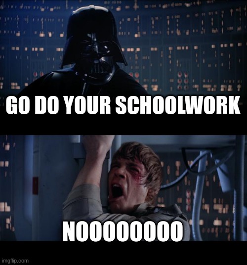 Star Wars No Meme | GO DO YOUR SCHOOLWORK; NOOOOOOOO | image tagged in memes,star wars no | made w/ Imgflip meme maker