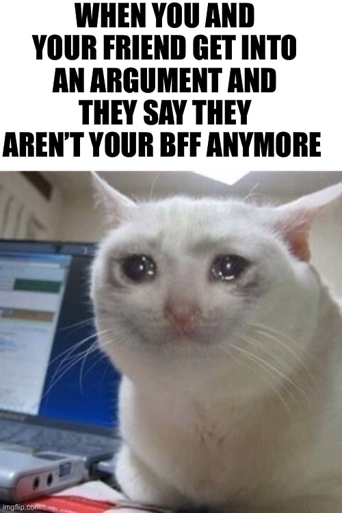 Your bluffing | WHEN YOU AND YOUR FRIEND GET INTO AN ARGUMENT AND THEY SAY THEY AREN’T YOUR BFF ANYMORE | image tagged in crying cat,memes,funny | made w/ Imgflip meme maker
