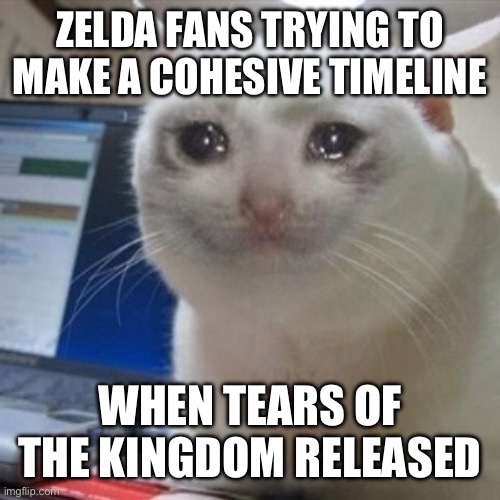 Lore hunters are def pissed with this game lol | ZELDA FANS TRYING TO MAKE A COHESIVE TIMELINE; WHEN TEARS OF THE KINGDOM RELEASED | image tagged in crying cat | made w/ Imgflip meme maker