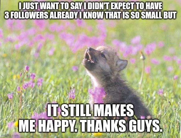 Baby Insanity Wolf | I JUST WANT TO SAY I DIDN'T EXPECT TO HAVE 3 FOLLOWERS ALREADY I KNOW THAT IS SO SMALL BUT; IT STILL MAKES ME HAPPY. THANKS GUYS. | image tagged in memes,baby insanity wolf | made w/ Imgflip meme maker