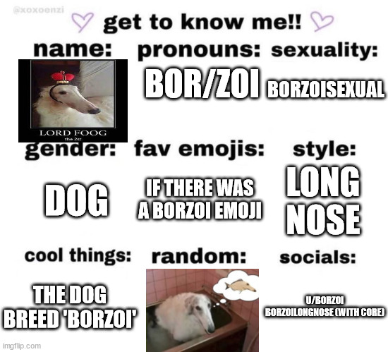 get to know me | BORZOISEXUAL; BOR/ZOI; DOG; LONG NOSE; IF THERE WAS A BORZOI EMOJI; THE DOG BREED 'BORZOI'; U/BORZOI
BORZOILONGNOSE (WITH CORE) | image tagged in get to know me | made w/ Imgflip meme maker