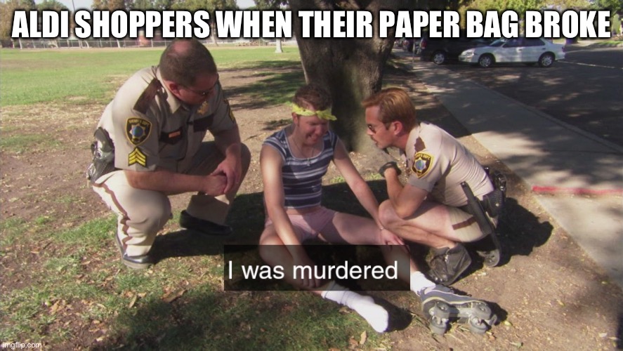 Paper bags instead of plastic | ALDI SHOPPERS WHEN THEIR PAPER BAG BROKE | image tagged in i was murdered,paper bag,supermarket,aldi,coles,woolworths | made w/ Imgflip meme maker