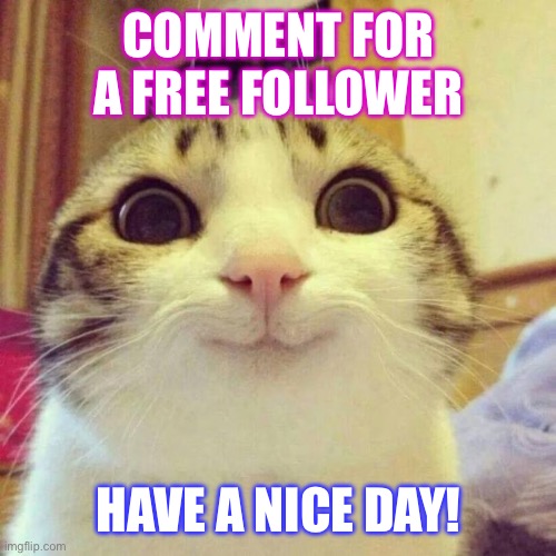 Smiling Cat | COMMENT FOR A FREE FOLLOWER; HAVE A NICE DAY! | image tagged in memes,smiling cat | made w/ Imgflip meme maker