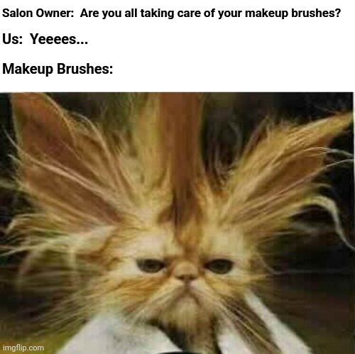 Salon Owner:  Are you all taking care of your makeup brushes? Us:  Yeeees... Makeup Brushes: | made w/ Imgflip meme maker
