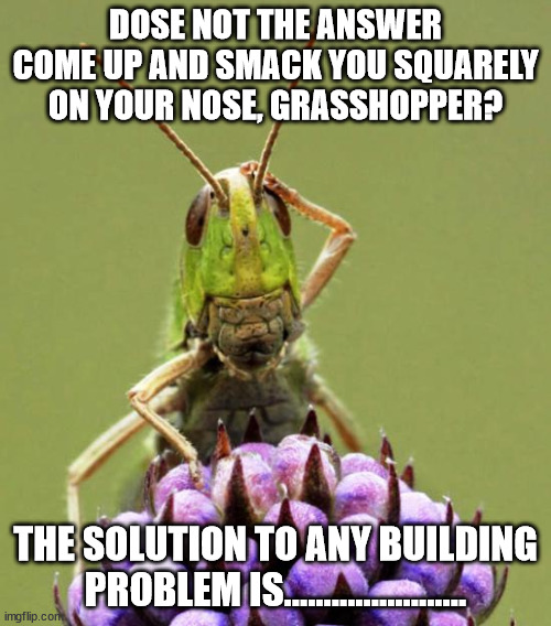 Confused Grasshopper | DOSE NOT THE ANSWER COME UP AND SMACK YOU SQUARELY ON YOUR NOSE, GRASSHOPPER? THE SOLUTION TO ANY BUILDING PROBLEM IS....................... | image tagged in confused grasshopper | made w/ Imgflip meme maker