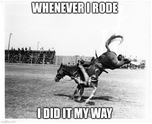 Falling off horse | WHENEVER I RODE; I DID IT MY WAY | image tagged in falling off horse | made w/ Imgflip meme maker