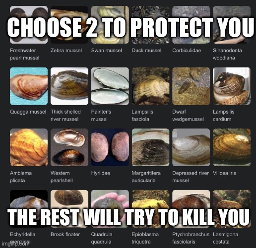 True gamers know that there’s only one correct choice | CHOOSE 2 TO PROTECT YOU; THE REST WILL TRY TO KILL YOU | image tagged in animals,choose wisely,death battle,shitpost | made w/ Imgflip meme maker