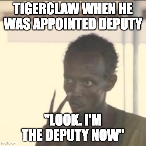This is true, yes? | TIGERCLAW WHEN HE WAS APPOINTED DEPUTY; "LOOK. I'M THE DEPUTY NOW" | image tagged in memes,look at me | made w/ Imgflip meme maker