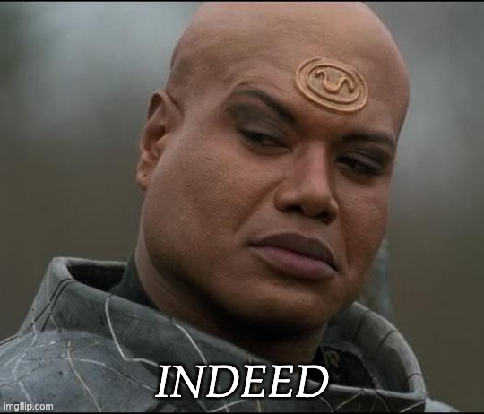 Stargate Tealc (bemused)  | INDEED | image tagged in stargate tealc bemused | made w/ Imgflip meme maker