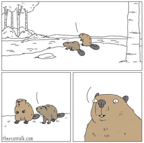 High Quality Big Plan Beaver (Completely blank) Blank Meme Template