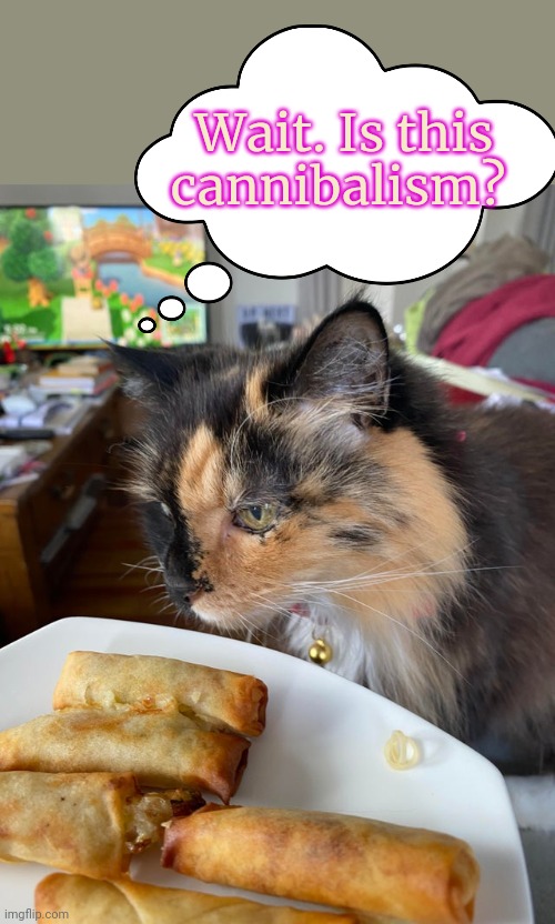 Cat food lore | Wait. Is this cannibalism? | image tagged in cat food,egg rolls,nom nom nom | made w/ Imgflip meme maker