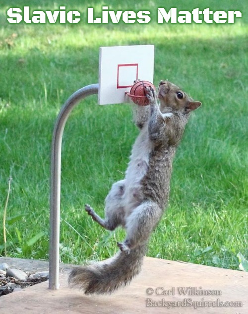 Squirrel basketball | Slavic Lives Matter | image tagged in squirrel basketball,slavic | made w/ Imgflip meme maker
