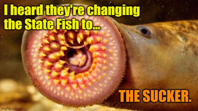 scary fish | I heard they're changing the State Fish to... THE SUCKER. | image tagged in scary fish | made w/ Imgflip meme maker