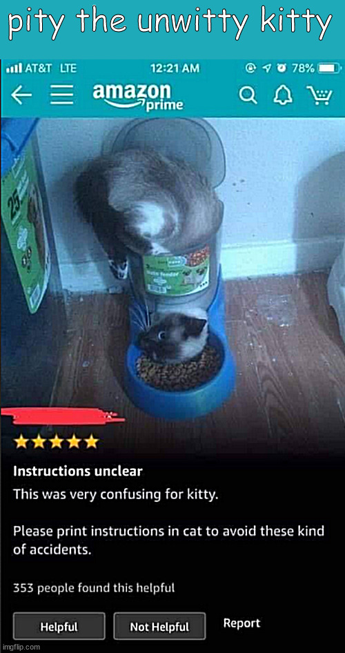 elegance on hold | pity the unwitty kitty | image tagged in memes,cats,kitty | made w/ Imgflip meme maker