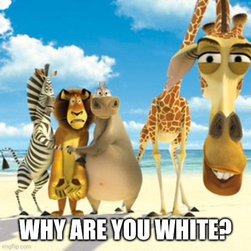 why are you white | WHY ARE YOU WHITE? | image tagged in why are you white | made w/ Imgflip meme maker