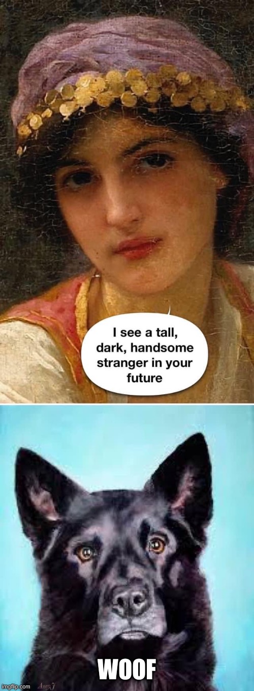 Your future | WOOF | image tagged in stranger,future,tall,dark,handsome | made w/ Imgflip meme maker