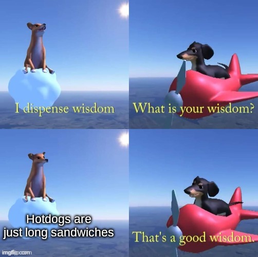 Wisdom dog | Hotdogs are just long sandwiches | image tagged in wisdom dog | made w/ Imgflip meme maker
