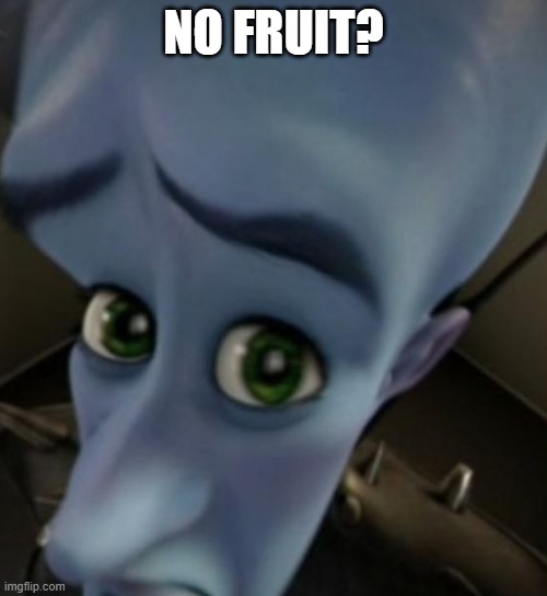 no fruit? | NO FRUIT? | image tagged in megamind no bitches | made w/ Imgflip meme maker