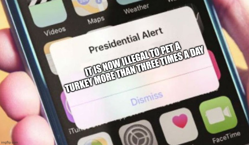 No turkey shall be pet more than three times a day | IT IS NOW ILLEGAL TO PET A TURKEY MORE THAN THREE TIMES A DAY | image tagged in memes,presidential alert | made w/ Imgflip meme maker