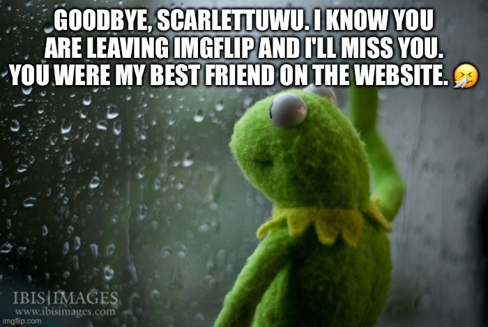 Goodbye, friend. | GOODBYE, SCARLETTUWU. I KNOW YOU ARE LEAVING IMGFLIP AND I'LL MISS YOU. YOU WERE MY BEST FRIEND ON THE WEBSITE. 🤧 | image tagged in kermit window | made w/ Imgflip meme maker