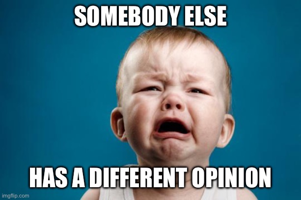 BABY CRYING | SOMEBODY ELSE; HAS A DIFFERENT OPINION | image tagged in baby crying | made w/ Imgflip meme maker