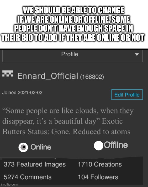 It can help not to waste your bio/description | WE SHOULD BE ABLE TO CHANGE IF WE ARE ONLINE OR OFFLINE, SOME PEOPLE DON’T HAVE ENOUGH SPACE IN THEIR BIO TO ADD IF THEY ARE ONLINE OR NOT; Offline; Online | made w/ Imgflip meme maker