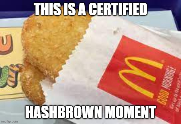 Hashbrown Hashbrown Hashbrown HashbrownHashbrownHashbrownHashbrownHashbrownHashbrownHashbrownHashbrownHashbrownHashbrownHashbrow | THIS IS A CERTIFIED; HASHBROWN MOMENT | image tagged in hashbrown | made w/ Imgflip meme maker
