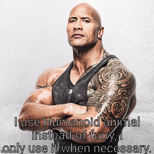 ? SHUTPOST | I use Humanoid animal instead of furry, i only use it when necessary. | image tagged in the rock arms crossed,random bullshit go,the rock | made w/ Imgflip meme maker
