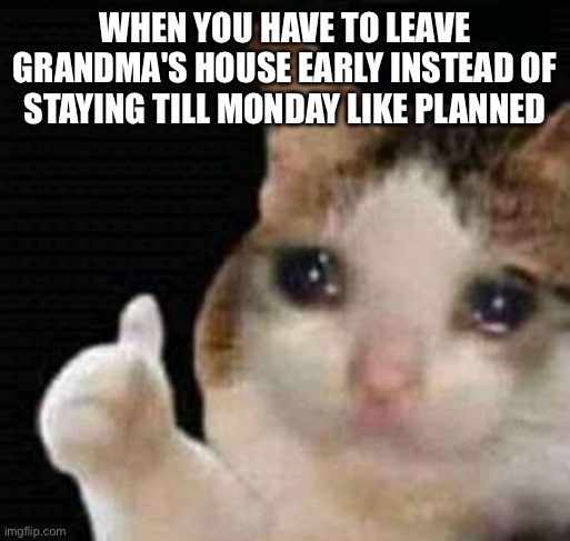 Why did you to this to me | WHEN YOU HAVE TO LEAVE GRANDMA'S HOUSE EARLY INSTEAD OF STAYING TILL MONDAY LIKE PLANNED | image tagged in sad thumbs up cat,grandma,mondays | made w/ Imgflip meme maker