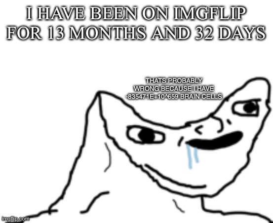 yes thats right | I HAVE BEEN ON IMGFLIP FOR 13 MONTHS AND 32 DAYS; THATS PROBABLY WRONG BECAUSE I HAVE -835471E+10^659 BRAIN CELLS | image tagged in dumb wojak | made w/ Imgflip meme maker