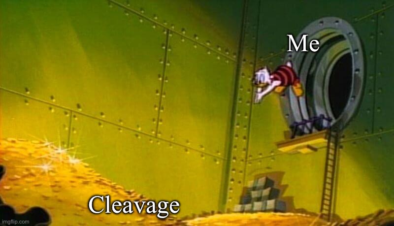 Scrooge McDuck dives into gold coins | Me Cleavage | image tagged in scrooge mcduck dives into gold coins | made w/ Imgflip meme maker