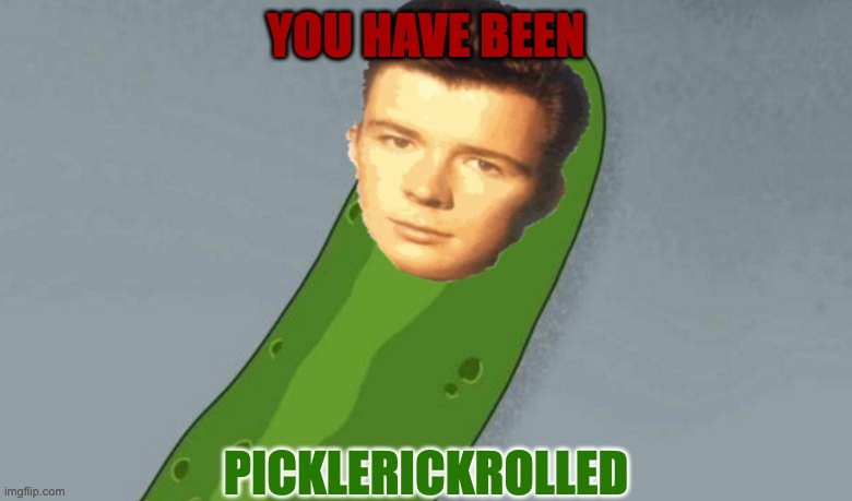 You died | YOU HAVE BEEN; PICKLERICKROLLED | image tagged in pickle rick | made w/ Imgflip meme maker