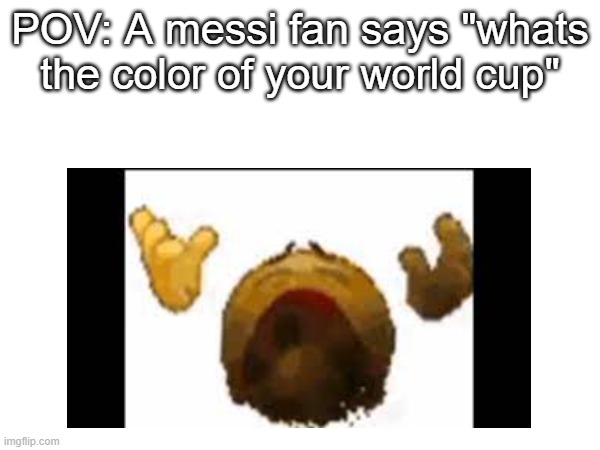 image title | POV: A messi fan says "whats the color of your world cup" | made w/ Imgflip meme maker