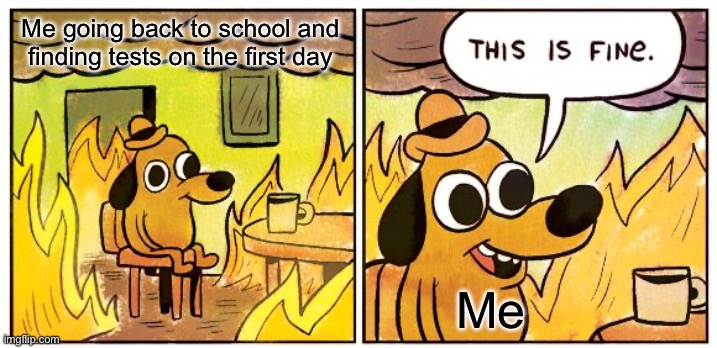 Totally fine | Me going back to school and finding tests on the first day; Me | image tagged in memes,this is fine,funny,school,fun,funny memes | made w/ Imgflip meme maker