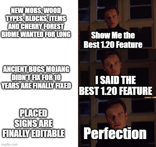 This Feature is getting More and More Great after You used it More and More Times | NEW MOBS, WOOD TYPES, BLOCKS, ITEMS AND CHERRY FOREST BIOME WANTED FOR LONG; Show Me the Best 1.20 Feature; ANCIENT BUGS MOJANG DIDN'T FIX FOR 10 YEARS ARE FINALLY FIXED; I SAID THE BEST 1.20 FEATURE; PLACED SIGNS ARE FINALLY EDITABLE; Perfection | image tagged in perfection | made w/ Imgflip meme maker