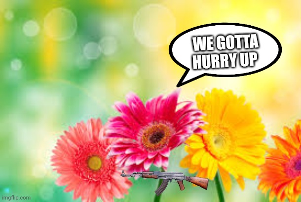 flowers | WE GOTTA HURRY UP | image tagged in flowers | made w/ Imgflip meme maker