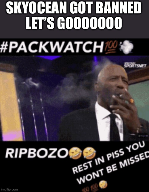 RIPBOZO | SKYOCEAN GOT BANNED
LET’S GOOOOOOO | image tagged in ripbozo | made w/ Imgflip meme maker