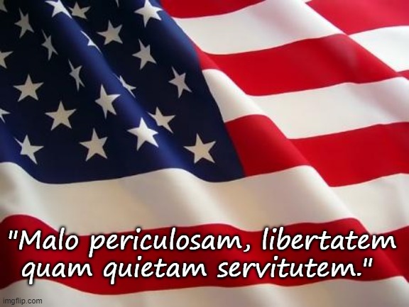 "Malo periculosam, libertatem quam quietam servitutem." | "Malo periculosam, libertatem quam quietam servitutem." | image tagged in american flag,jefferson | made w/ Imgflip meme maker