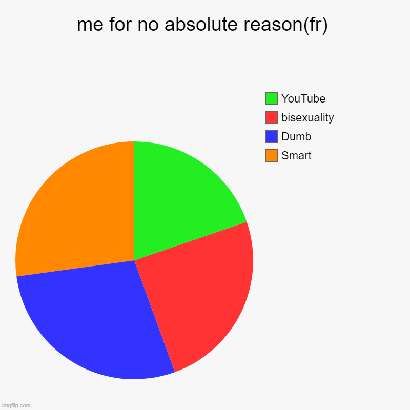 me for no absolute reason(fr) | Smart, Dumb, bisexuality , YouTube | image tagged in charts,pie charts | made w/ Imgflip chart maker