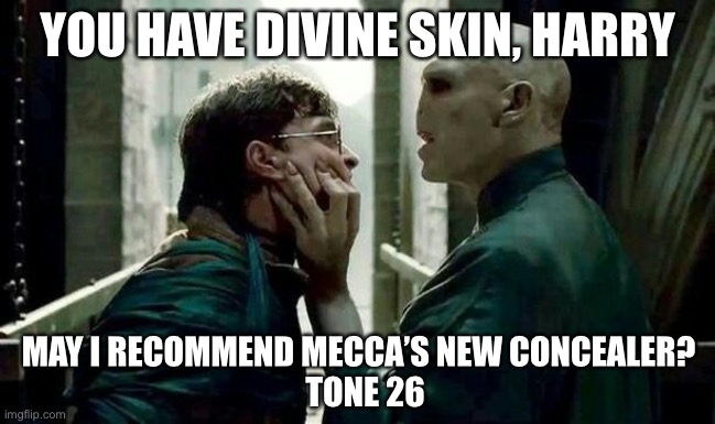 Voldemort and Harry | YOU HAVE DIVINE SKIN, HARRY; MAY I RECOMMEND MECCA’S NEW CONCEALER?  
TONE 26 | image tagged in voldemort and harry | made w/ Imgflip meme maker
