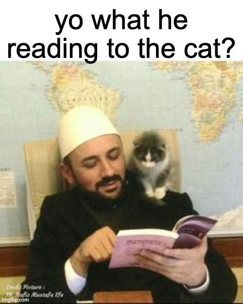 His name is Mustafa Efe Hafız Mustafa Efe Resmi Hesabı and in instabul turkey he opened his mosque to stray cats :) | yo what he reading to the cat? | image tagged in imam,islam,cat,turkey,instabul | made w/ Imgflip meme maker