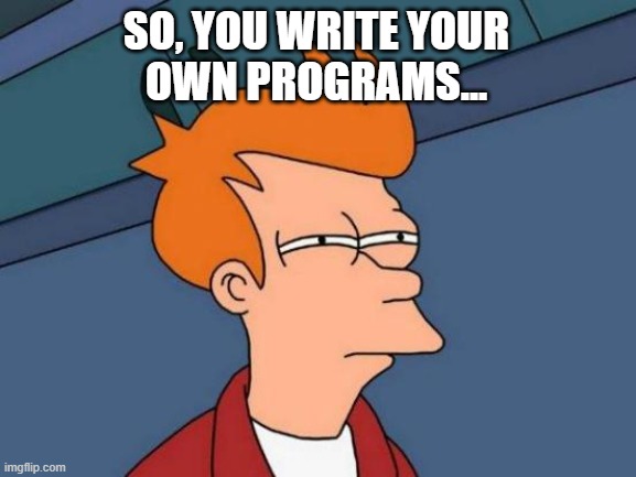 Futurama Fry Meme | SO, YOU WRITE YOUR
OWN PROGRAMS... | image tagged in memes,futurama fry | made w/ Imgflip meme maker
